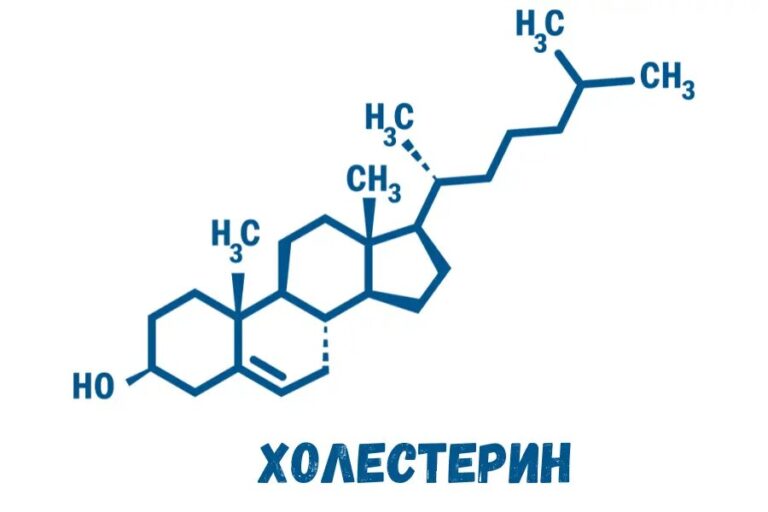 Холестерин 300